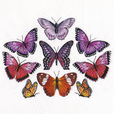 Butterflies of the Forest Kaleidoscope
