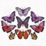 Butterflies of the Forest Kaleidoscope