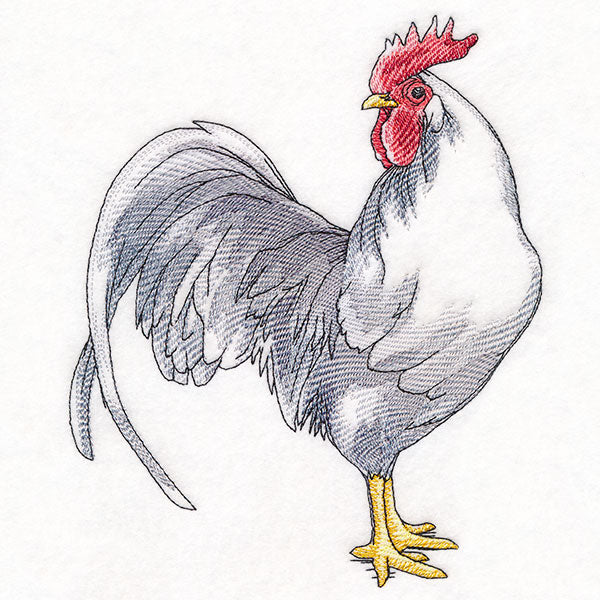 Plucky Country Chicken