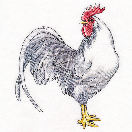 Plucky Country Chicken