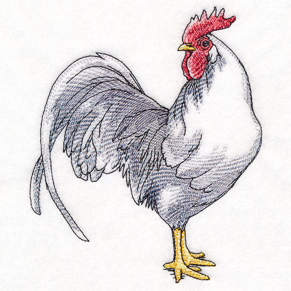 Plucky Country Chicken