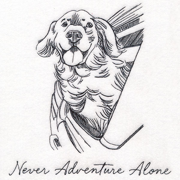 Never Adventure Alone Dog