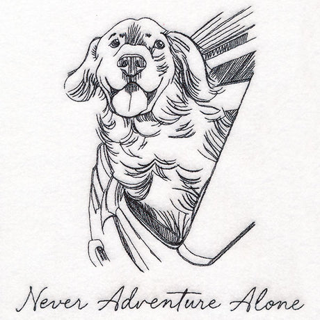 Never Adventure Alone Dog
