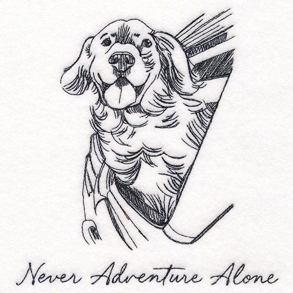 Never Adventure Alone Dog