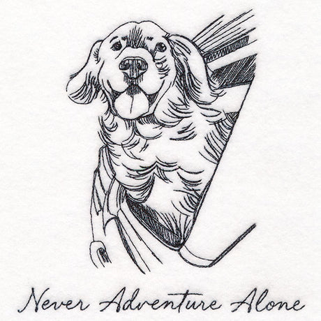 Never Adventure Alone Dog