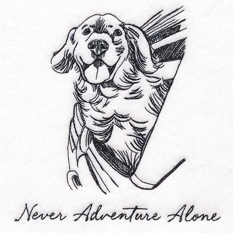 Never Adventure Alone Dog