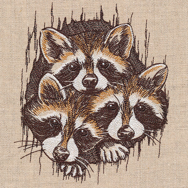 Peeking Raccoons Trio