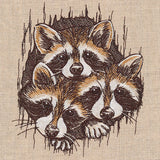 Peeking Raccoons Trio