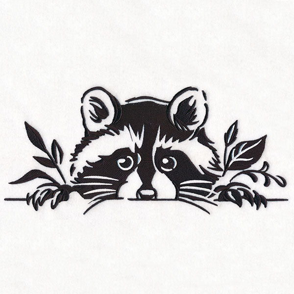 Peeking Raccoon Border