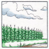 Fall on the Farm Scene - Corn Field