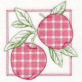 Retro Gingham Fruit -Apples