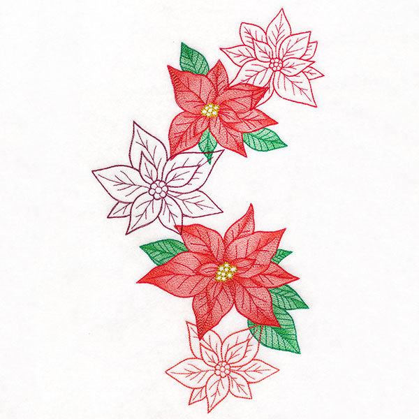 Festive Christmas Poinsettia Feature