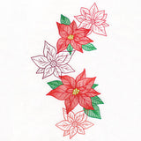 Festive Christmas Poinsettia Feature