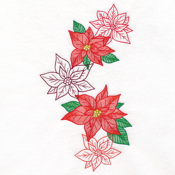 Festive Christmas Poinsettia Feature