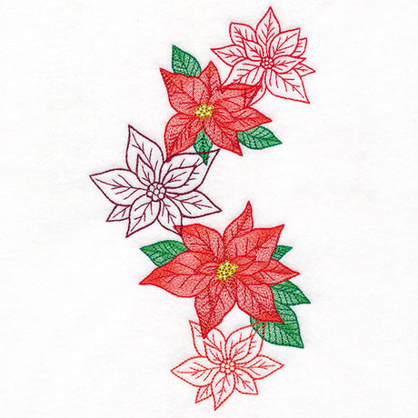 Festive Christmas Poinsettia Feature