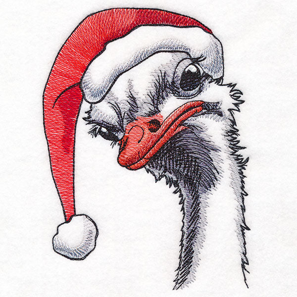 Moody Christmas Ostrich in Santa Hat