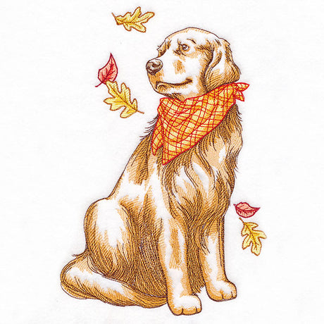 Fall Delights Golden Retriever