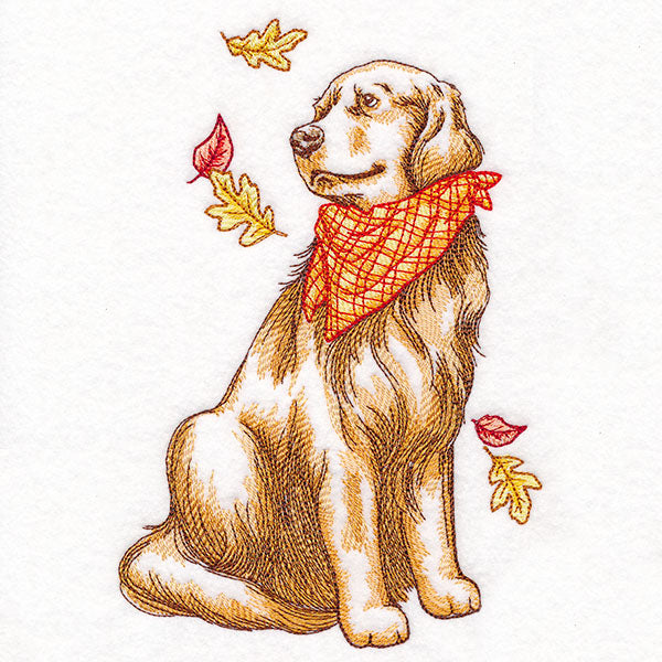 Fall Delights Golden Retriever