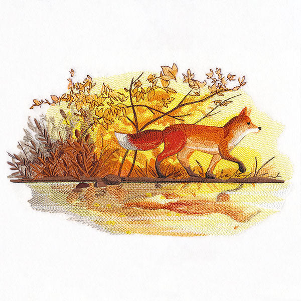 Fall Fox by Water