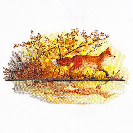 Fall Fox by Water