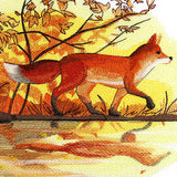 Fall Fox by Water