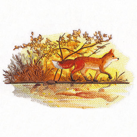 Fall Fox by Water