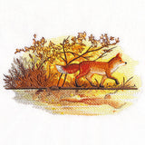 Fall Fox by Water