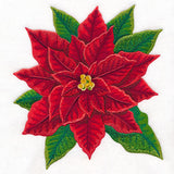 Merry & Marvelous Poinsettia