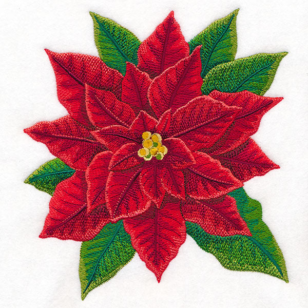 Merry & Marvelous Poinsettia