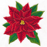 Merry & Marvelous Poinsettia