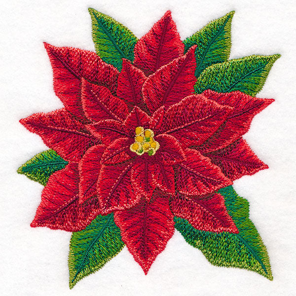 Merry & Marvelous Poinsettia