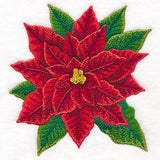 Merry & Marvelous Poinsettia