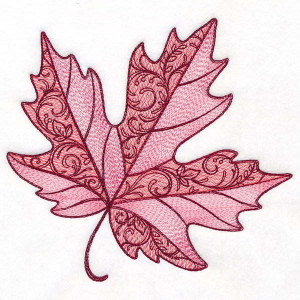 Swirling Fall Details Maple Leaf