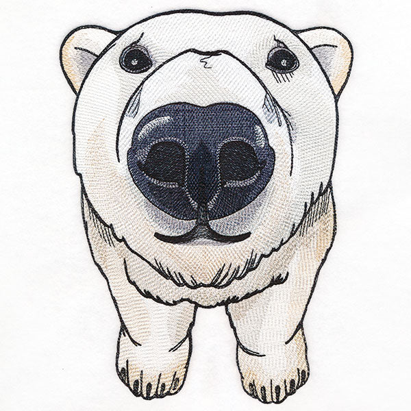Nosey Polar Bear