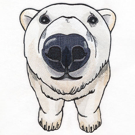 Nosey Polar Bear