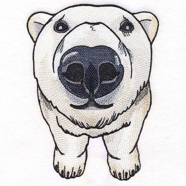 Nosey Polar Bear