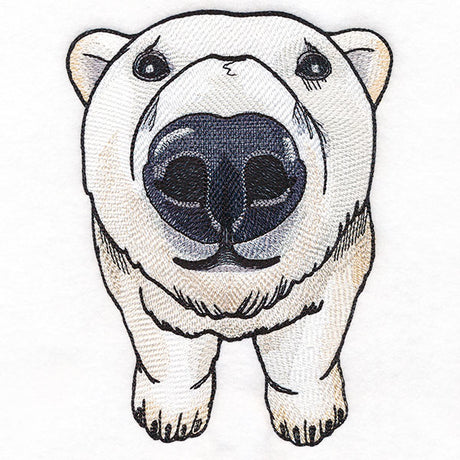 Nosey Polar Bear