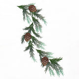 Rustic Delights Pine Boughs and Cones Spray