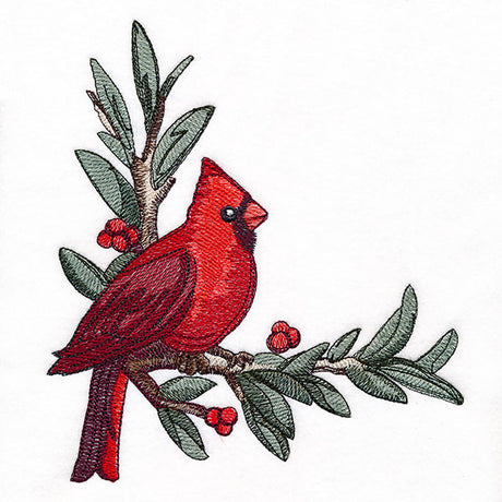 Cardinal at Christmas - Male