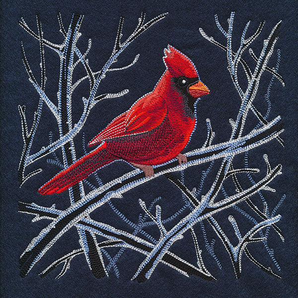 Cardinal in Winter Branches