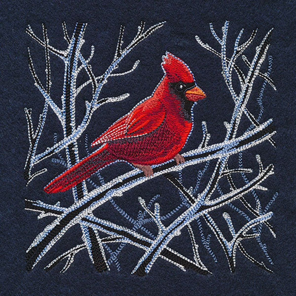 Cardinal in Winter Branches
