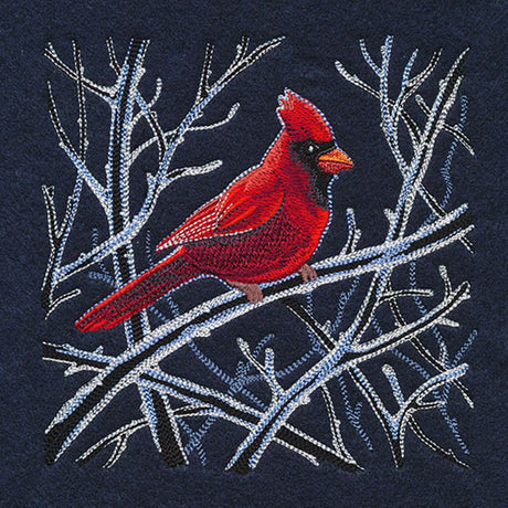 Cardinal in Winter Branches