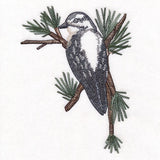 Downy Woodpecker on Branches Corner - Female