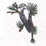 Downy Woodpecker on Branches Corner - Female