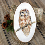Wise in Winter Barred Owl