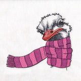 Bundled Up for Winter - Ostrich