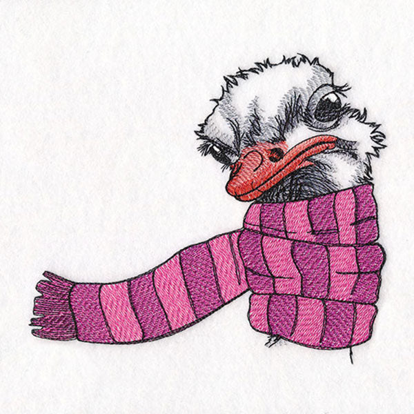Bundled Up for Winter - Ostrich