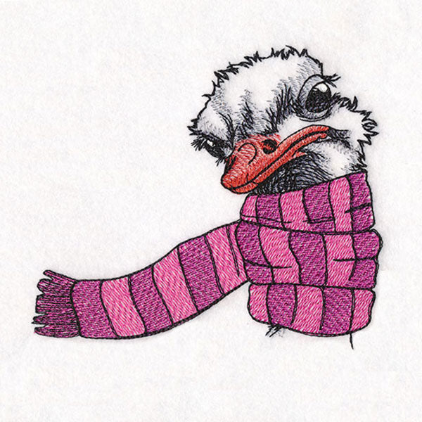Bundled Up for Winter - Ostrich