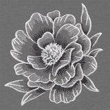 Sheer and Elegant Peony