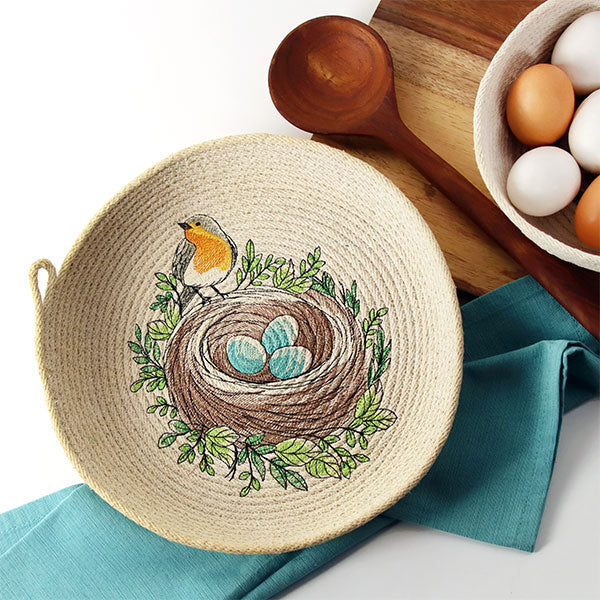 First Signs of Spring Robin & Nest